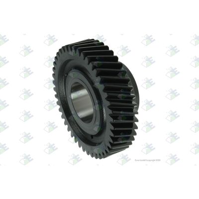 PIÑON CONSTANTE TREN FIJO