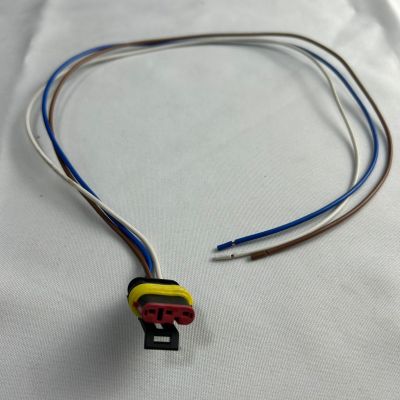 SOCKET 3 CONTACTOS ECONOSEAL