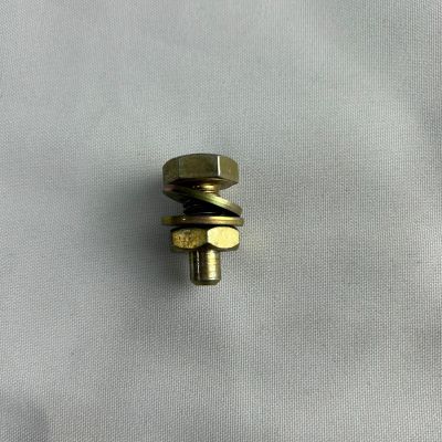 TORNILLO PIN DEL RACHE